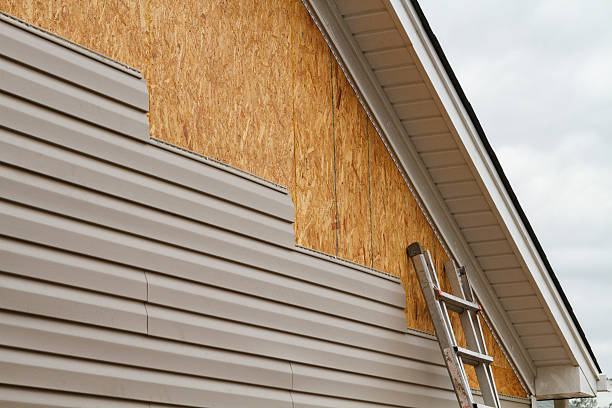 Professional Siding Repair technician working in New Albany, IN